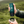 Mino kannettava Espresso-kone - Canyon Green