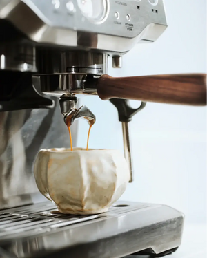 Portafilter Sage Barista -sarjaan (54 mm) - Barista ja Espresso