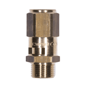 La Nuova Era Säkerhetsventil G10 3/8 2 bar - Reservdel OEM nummer: NE059001